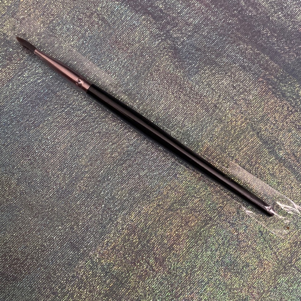 10/$10 Shein Lip Liner Brush